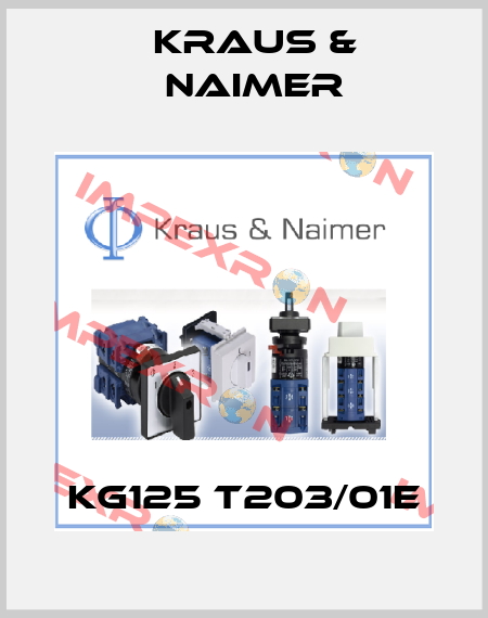 KG125 T203/01E Kraus & Naimer