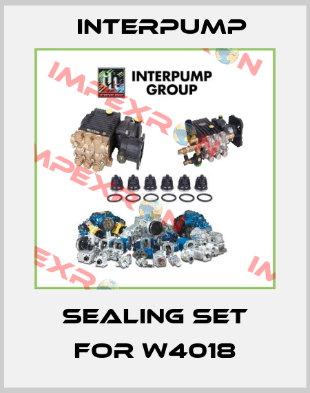 Sealing set for W4018 Interpump