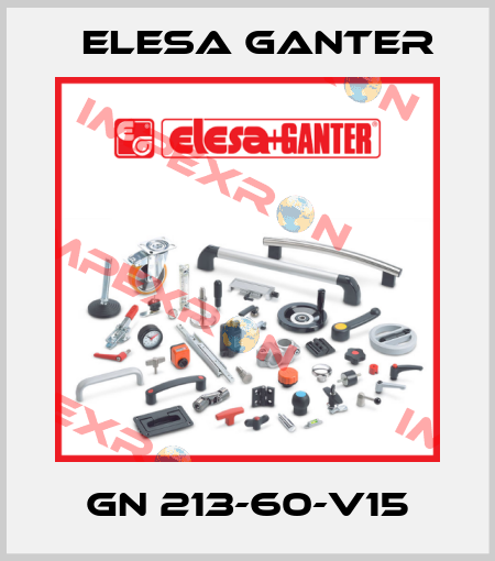 GN 213-60-V15 Elesa Ganter