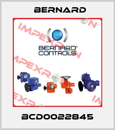 BCD0022845 Bernard