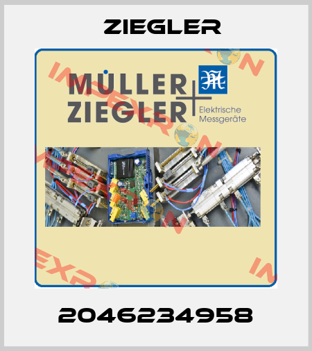 2046234958 Ziegler