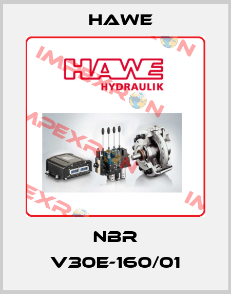 NBR V30E-160/01 Hawe