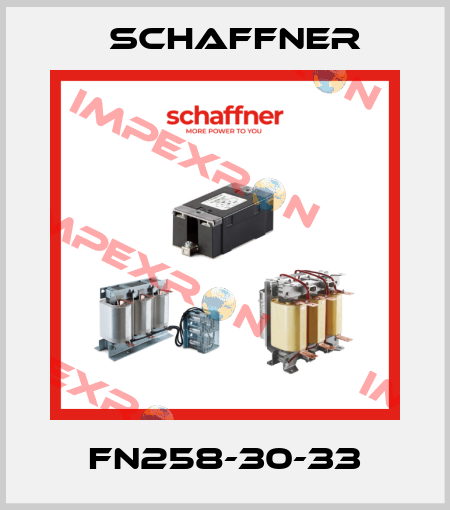 FN258-30-33 Schaffner