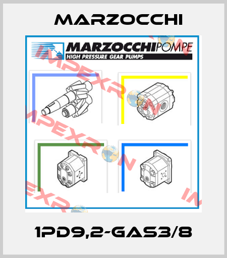 1PD9,2-GAS3/8 Marzocchi