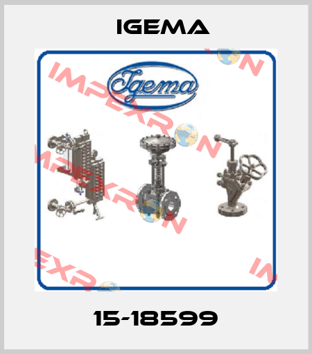 15-18599 Igema