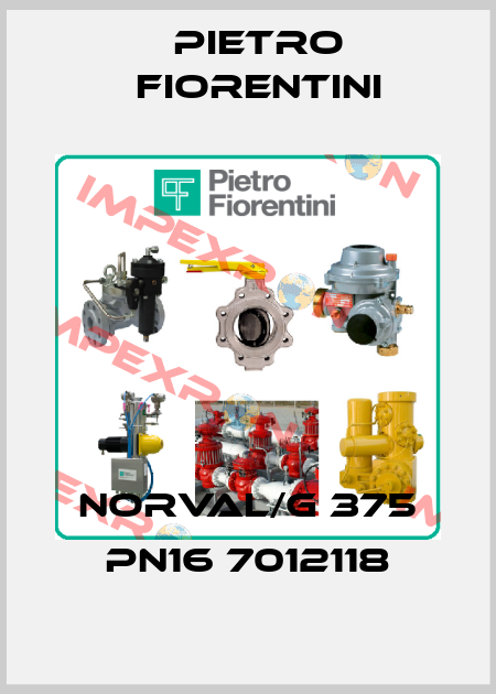 NORVAL/G 375 PN16 7012118 Pietro Fiorentini