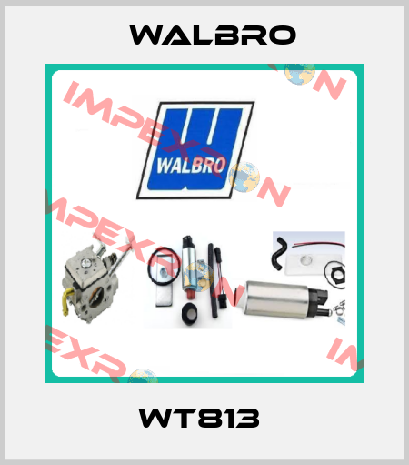 WT813  Walbro