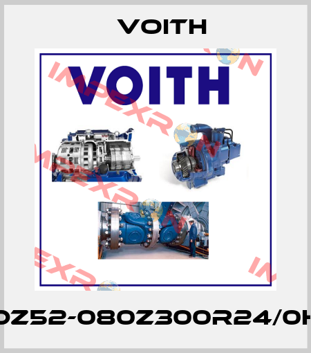 DZ52-080Z300R24/0H Voith