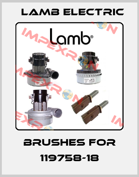 brushes for 119758-18 Lamb Electric