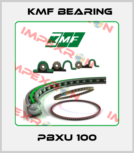 PBXU 100 KMF Bearing