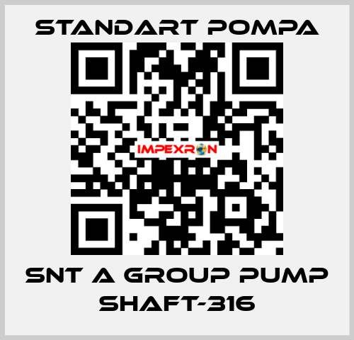 SNT A GROUP PUMP SHAFT-316 STANDART POMPA