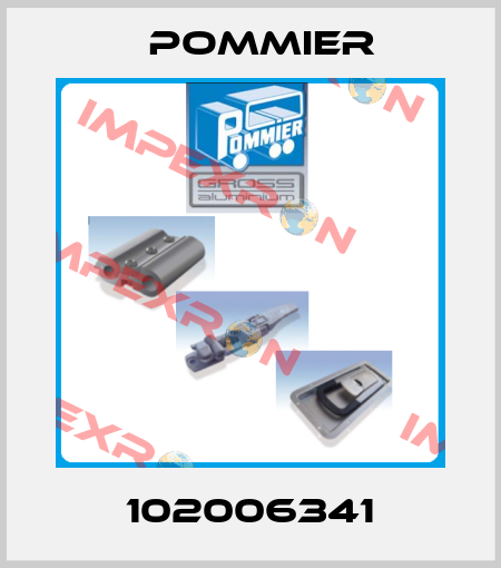 102006341 Pommier