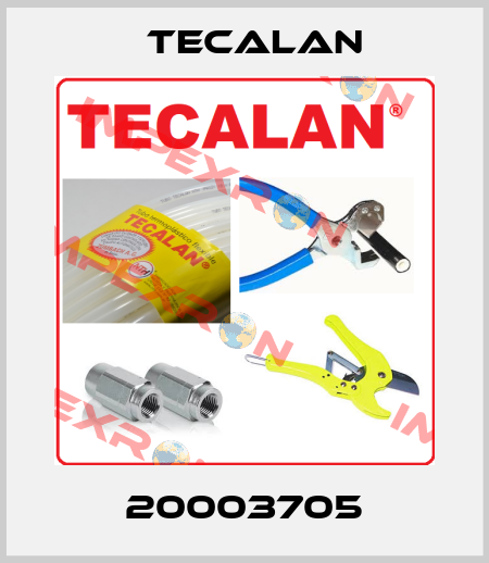 20003705 Tecalan