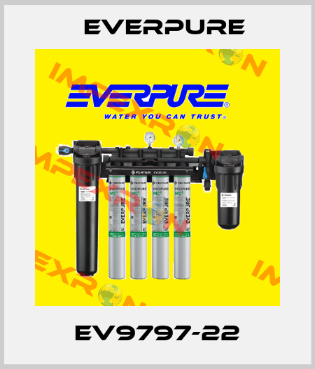 EV9797-22 Everpure