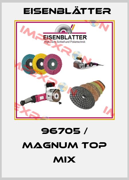 96705 / MAGNUM Top Mix Eisenblätter