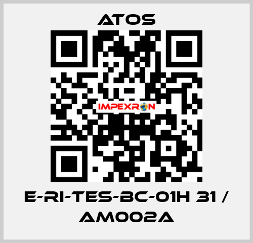 E-RI-TES-BC-01H 31 / AM002A Atos