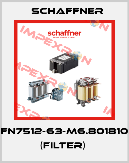 FN7512-63-M6.801810  (Filter)  Schaffner