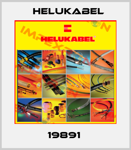 19891  Helukabel
