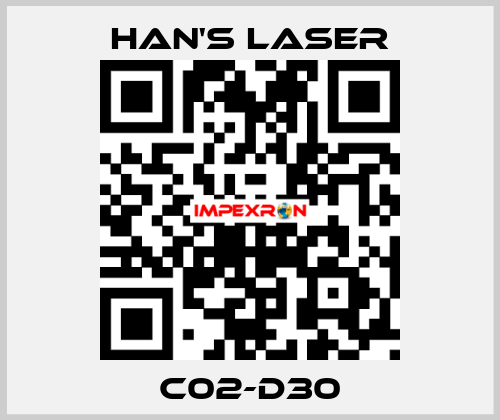 C02-D30 Han's Laser