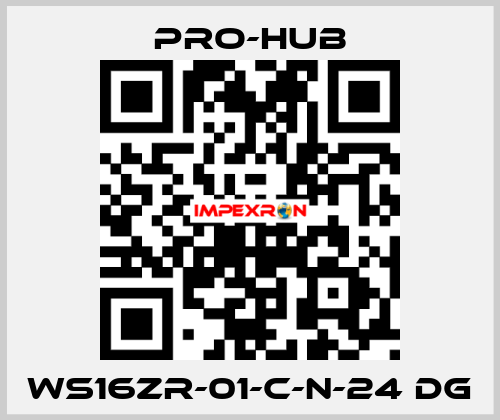 WS16ZR-01-C-N-24 DG Pro-Hub