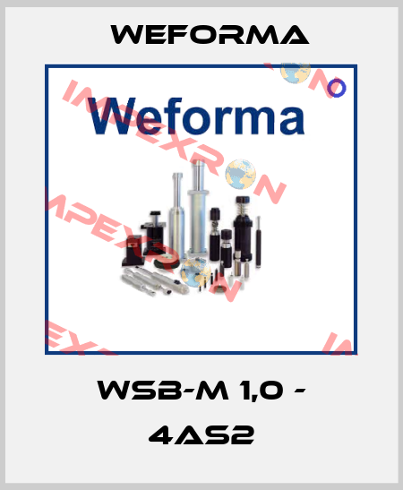 WSB-M 1,0 - 4AS2 Weforma