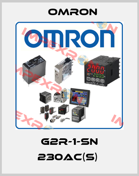 G2R-1-SN 230AC(S)  Omron