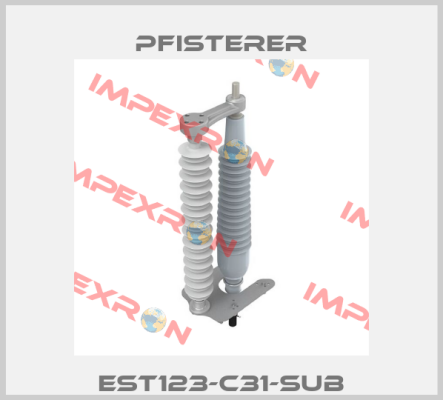 EST123-C31-Sub Pfisterer