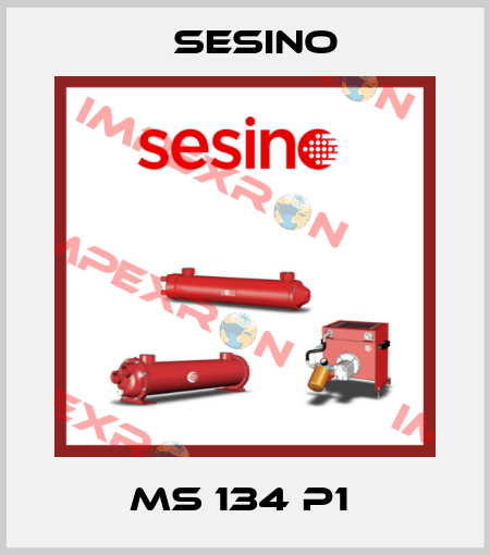 MS 134 P1  Sesino