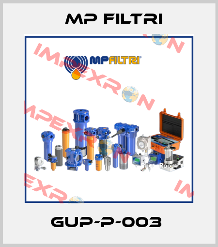 GUP-P-003  MP Filtri