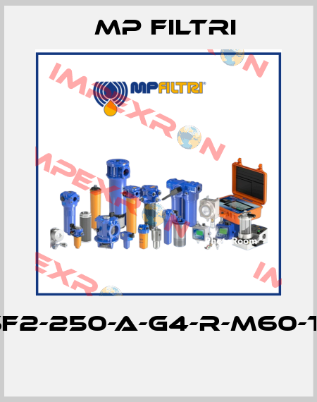 SF2-250-A-G4-R-M60-T1  MP Filtri