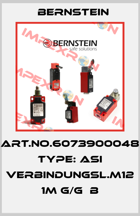 Art.No.6073900048 Type: ASI VERBINDUNGSL.M12 1M G/G  B Bernstein