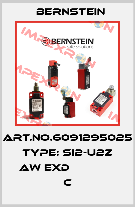 Art.No.6091295025 Type: SI2-U2Z AW EXD               C Bernstein