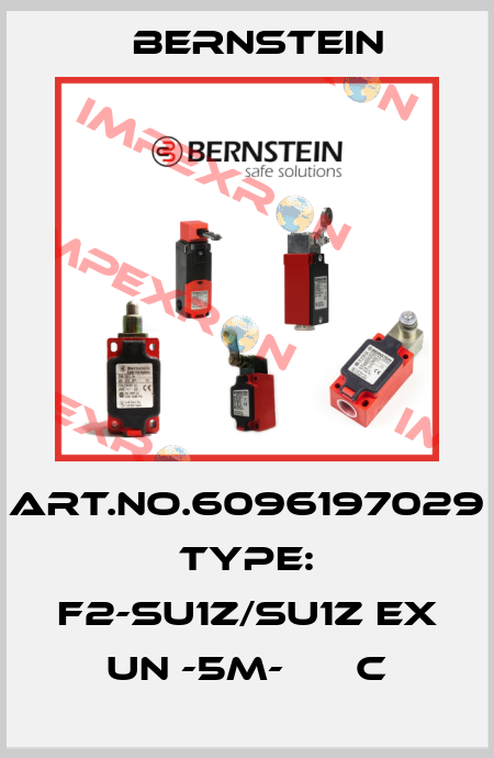 Art.No.6096197029 Type: F2-SU1Z/SU1Z EX UN -5M-      C Bernstein
