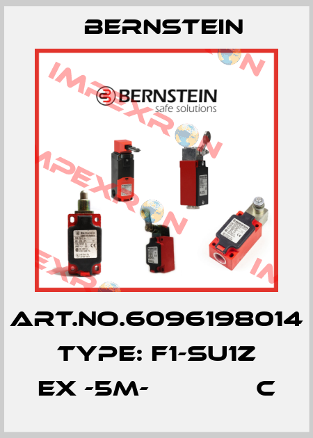 Art.No.6096198014 Type: F1-SU1Z EX -5M-              C Bernstein