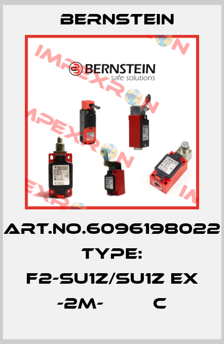 Art.No.6096198022 Type: F2-SU1Z/SU1Z EX -2M-         C Bernstein
