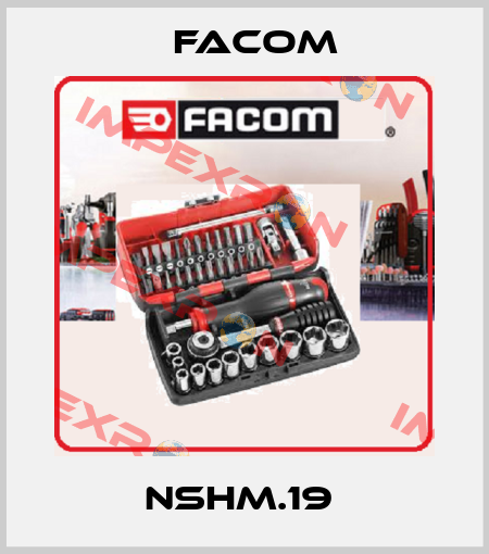 NSHM.19  Facom