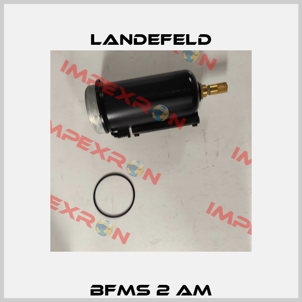 BFMS 2 AM Landefeld