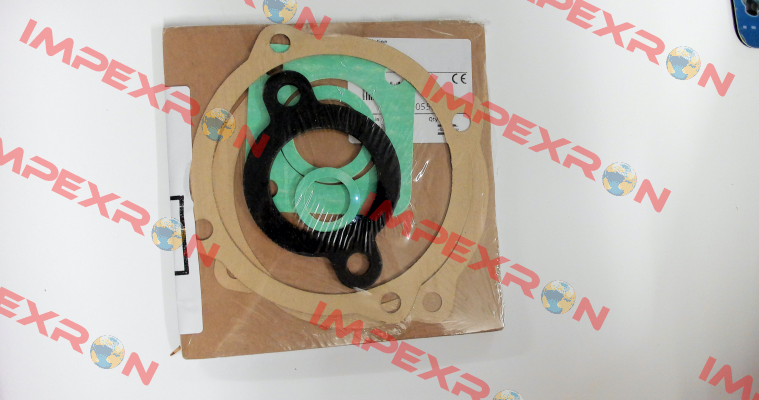 4810013988 Varisco pumps