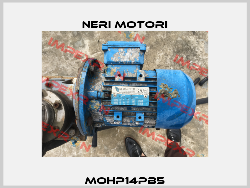 MOHP14PB5 Neri Motori