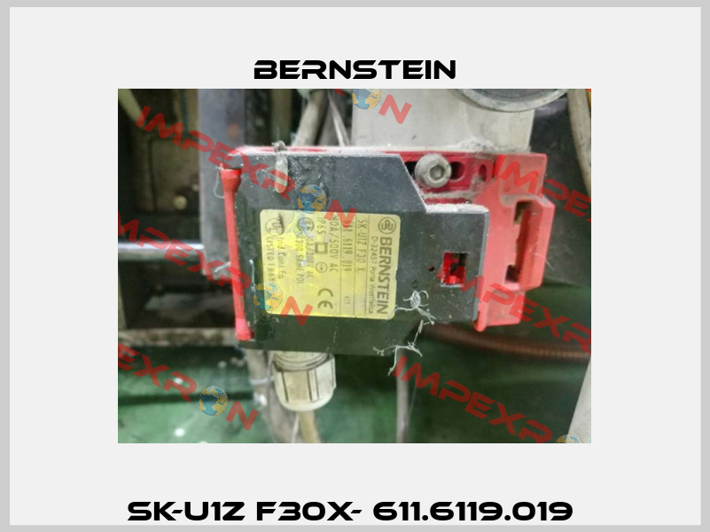 SK-U1Z F30X- 611.6119.019  Bernstein