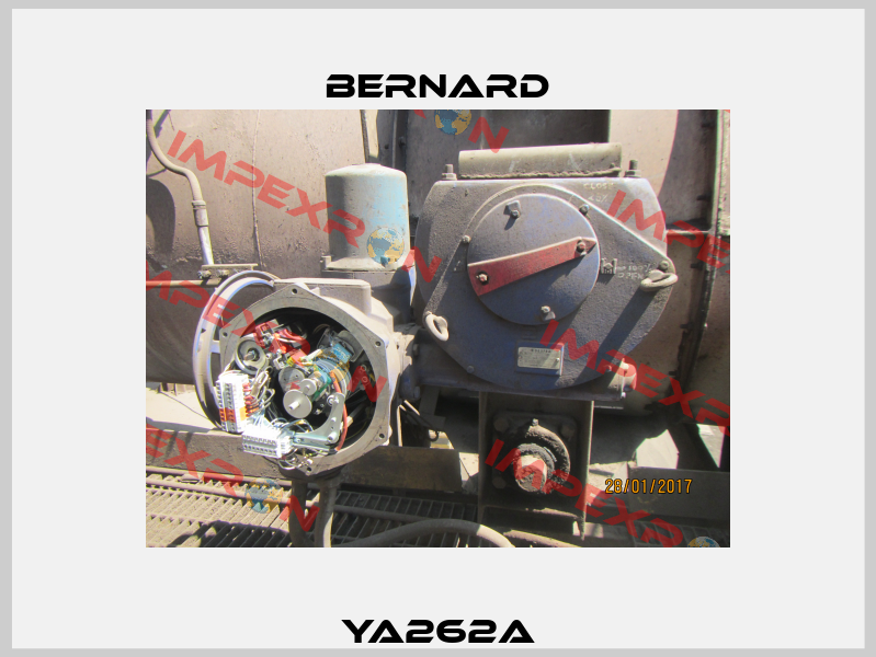 YA262A Bernard