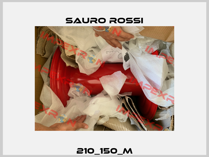 210_150_M Sauro Rossi