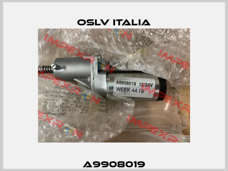 A9908019 OSLV Italia