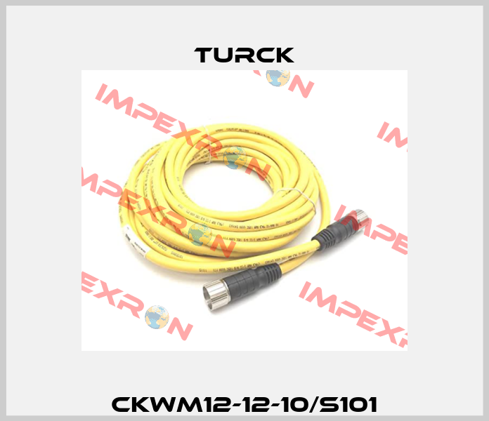 CKWM12-12-10/S101 Turck