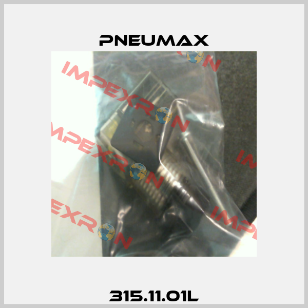 315.11.01L Pneumax